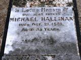 image of grave number 941594